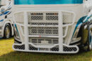 Bull Bar Freeway Volvo