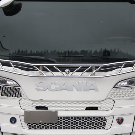 Bird net with sticks Scania NextGen 2017-