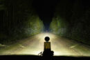 Purelux 9200 - Auxiliary Light