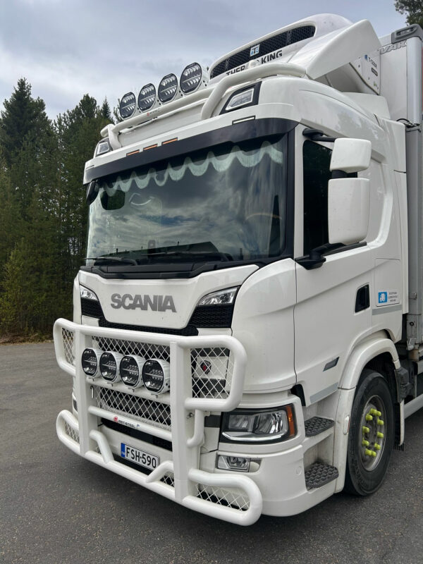 Bull Bar Freeway Scania NextGen G 2017- - Bild 3